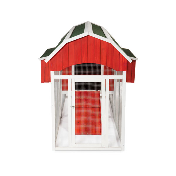 Archie & Oscar™ Hermione 33.93 Square Feet Chicken Coop with Chicken